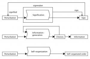Self-organisation and information in the UTI